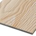 Фиброцементные панели FCSPRO Decor Wood Лиственница купить в Энгельсе