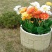 Цветник КАНЬОН купить в Энгельсе