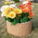 Цветник КАНЬОН купить в Энгельсе